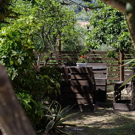 Mouzakitis 3 شقة أريلاز